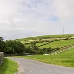 Elm * Ulverston