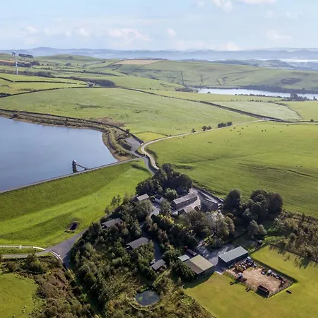 Elm ウルバーストン