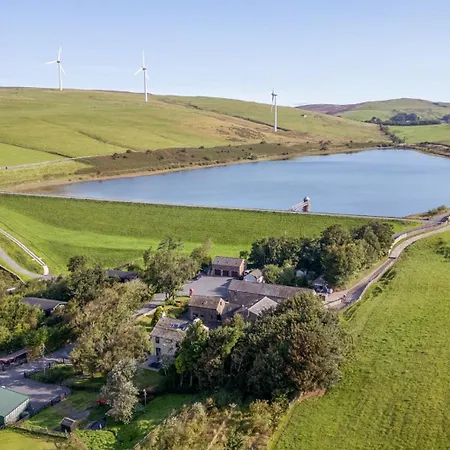 Elm ウルバーストン